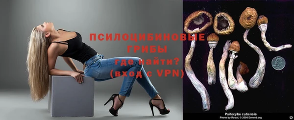 МДПВ Володарск