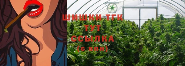 МДПВ Володарск